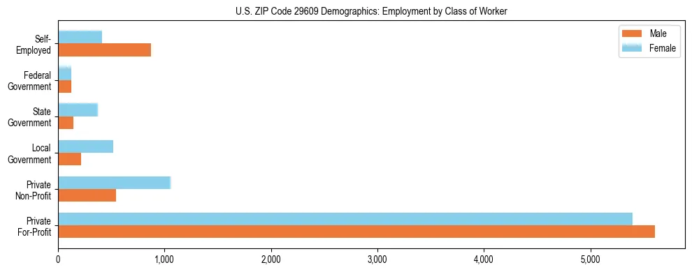 Horizontal bar chart showing employment distribution by class of worker and gender in US ZIP Code 29609, based on 2023 ACS data.