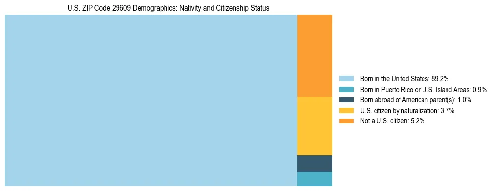 Treemap showing the population distribution by nativity and citizenship status in US ZIP Code 29609 based on U.S. Census data.