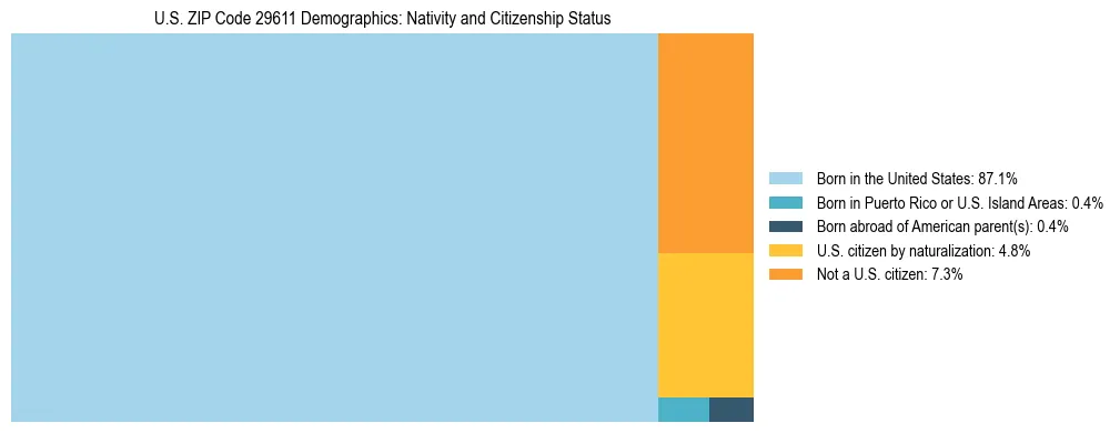 Treemap showing the population distribution by nativity and citizenship status in US ZIP Code 29611 based on U.S. Census data.