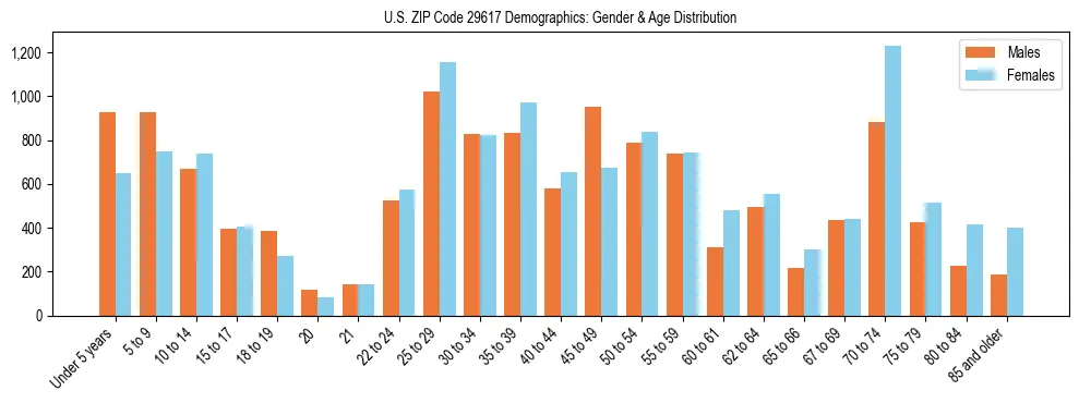 Bar chart showing the population distribution of US ZIP Code 29617 by age group and gender, based on 2023 ACS data.