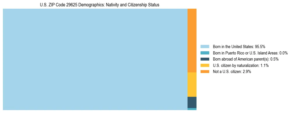 Treemap showing the population distribution by nativity and citizenship status in US ZIP Code 29625 based on U.S. Census data.