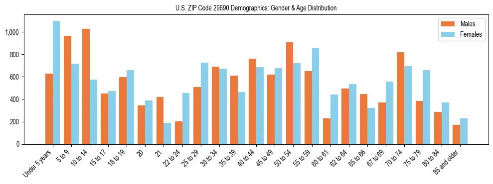 Bar chart showing the population distribution of US ZIP Code 29690 by age group and gender, based on 2023 ACS data.