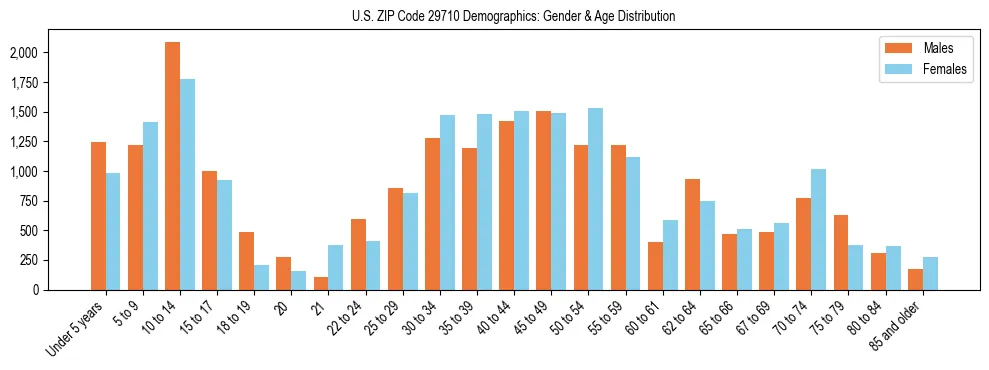 Bar chart showing the population distribution of US ZIP Code 29710 by age group and gender, based on 2023 ACS data.