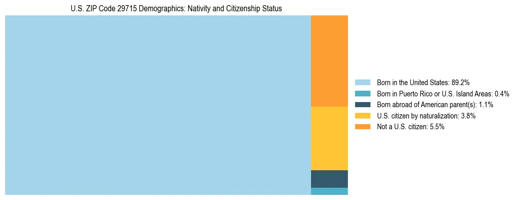 Treemap showing the population distribution by nativity and citizenship status in US ZIP Code 29715 based on U.S. Census data.