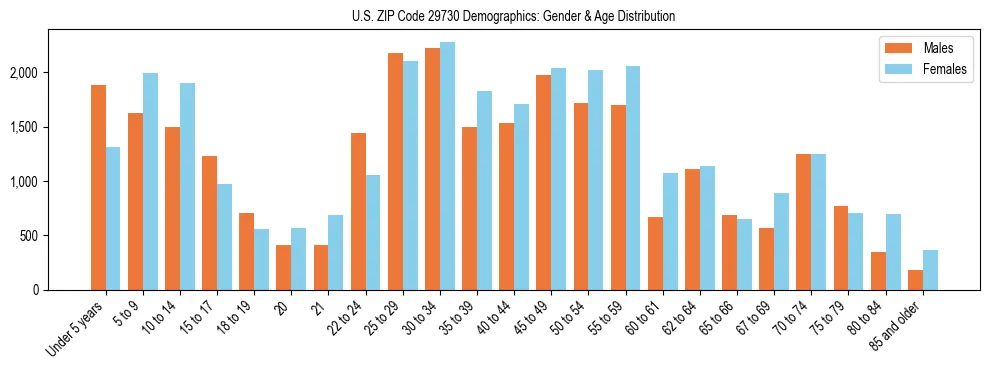 Bar chart showing the population distribution of US ZIP Code 29730 by age group and gender, based on 2023 ACS data.
