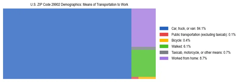 Treemap showing means of transportation to work distribution in US ZIP Code 29902.