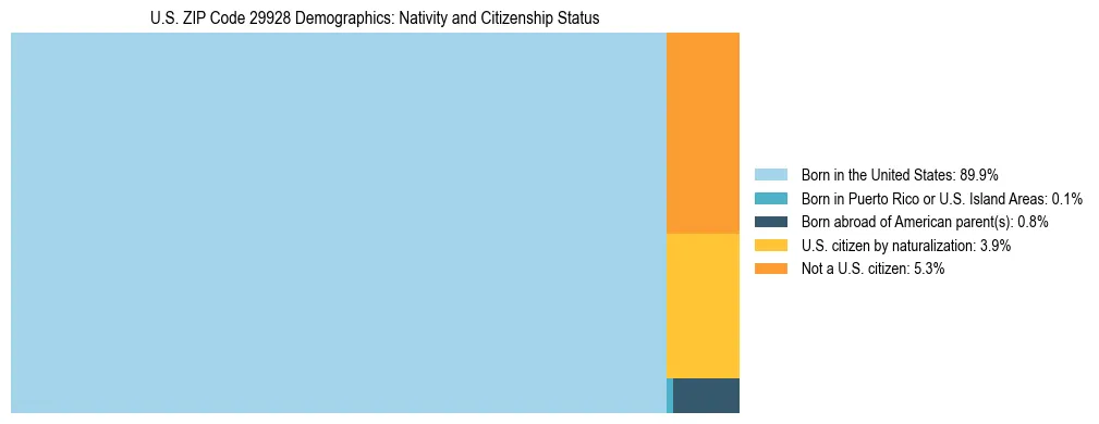 Treemap showing the population distribution by nativity and citizenship status in US ZIP Code 29928 based on U.S. Census data.