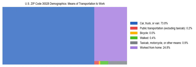 Treemap showing means of transportation to work distribution in US ZIP Code 30028.