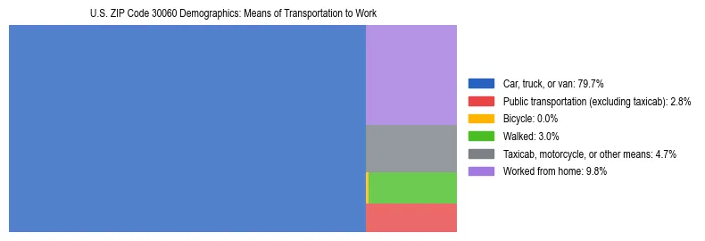 Treemap showing means of transportation to work distribution in US ZIP Code 30060.