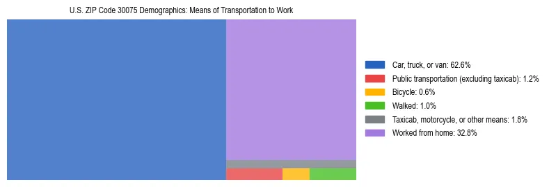 Treemap showing means of transportation to work distribution in US ZIP Code 30075.