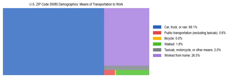 Treemap showing means of transportation to work distribution in US ZIP Code 30080.