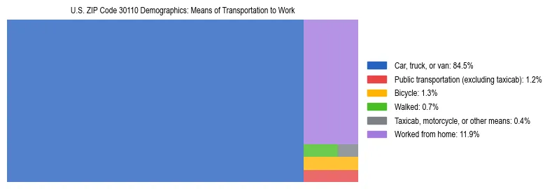 Treemap showing means of transportation to work distribution in US ZIP Code 30110.