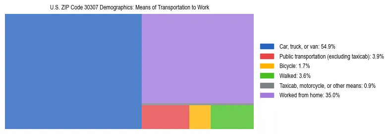 Treemap showing means of transportation to work distribution in US ZIP Code 30307.