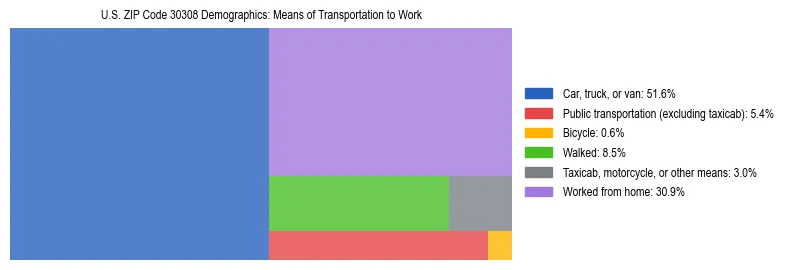 Treemap showing means of transportation to work distribution in US ZIP Code 30308.