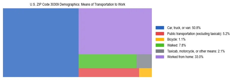 Treemap showing means of transportation to work distribution in US ZIP Code 30309.
