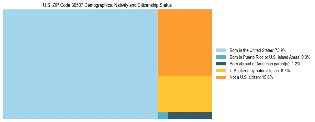 Treemap showing the population distribution by nativity and citizenship status in US ZIP Code 30507 based on U.S. Census data.