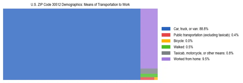 Treemap showing means of transportation to work distribution in US ZIP Code 30512.