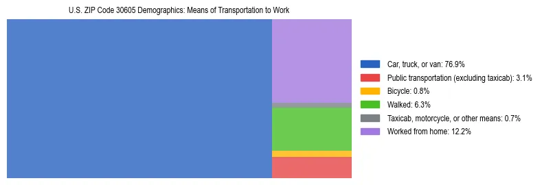 Treemap showing means of transportation to work distribution in US ZIP Code 30605.