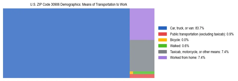Treemap showing means of transportation to work distribution in US ZIP Code 30906.