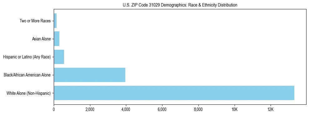 Race and Ethnicity Distribution Chart for US ZIP Code 31029