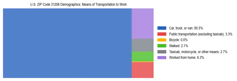 Treemap showing means of transportation to work distribution in US ZIP Code 31206.