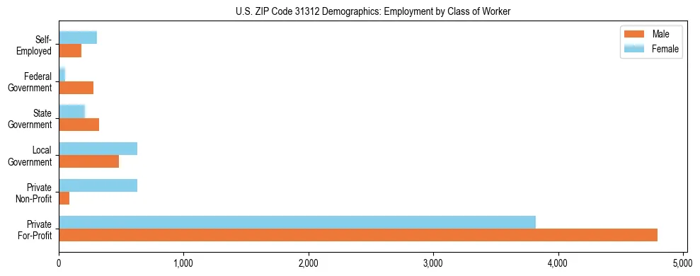 Horizontal bar chart showing employment distribution by class of worker and gender in US ZIP Code 31312, based on 2023 ACS data.