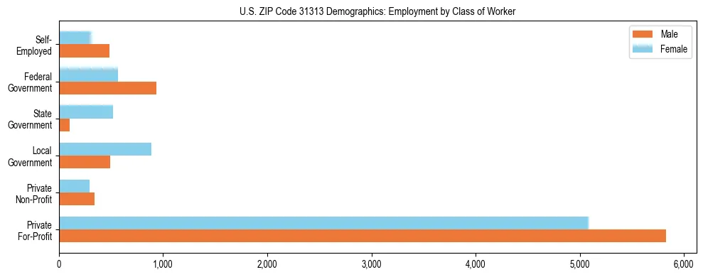 Horizontal bar chart showing employment distribution by class of worker and gender in US ZIP Code 31313, based on 2023 ACS data.