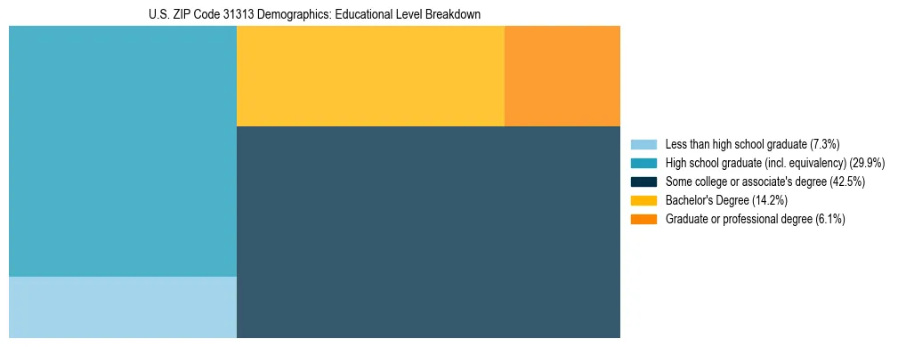 Treemap chart illustrating the educational attainment breakdown for population 25 years and over in US ZIP Code 31313.