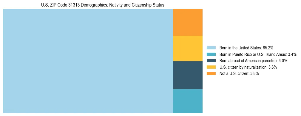 Treemap showing the population distribution by nativity and citizenship status in US ZIP Code 31313 based on U.S. Census data.