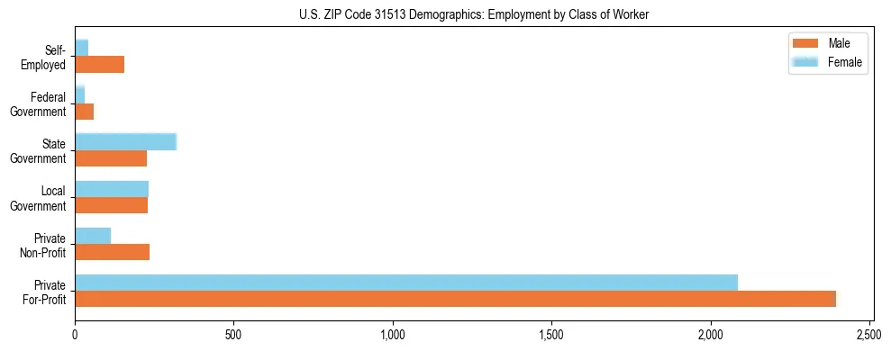 Horizontal bar chart showing employment distribution by class of worker and gender in US ZIP Code 31513, based on 2023 ACS data.