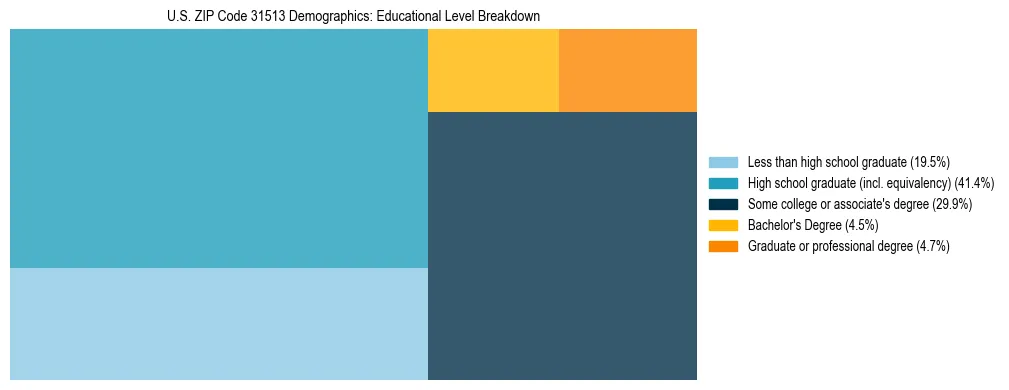 Treemap chart illustrating the educational attainment breakdown for population 25 years and over in US ZIP Code 31513.