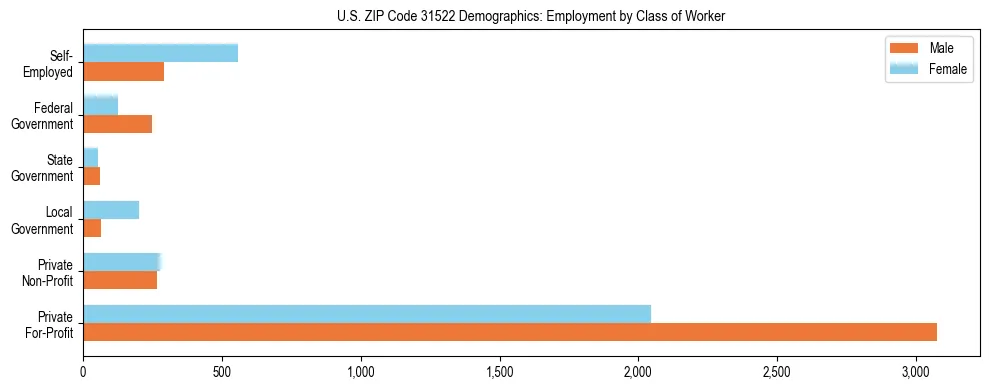 Horizontal bar chart showing employment distribution by class of worker and gender in US ZIP Code 31522, based on 2023 ACS data.