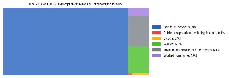 Treemap showing means of transportation to work distribution in US ZIP Code 31533.