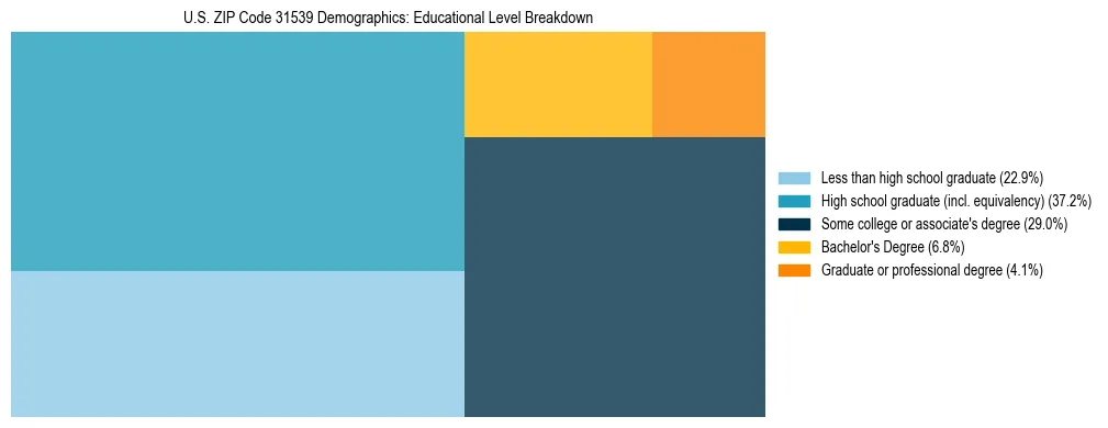Treemap chart illustrating the educational attainment breakdown for population 25 years and over in US ZIP Code 31539.