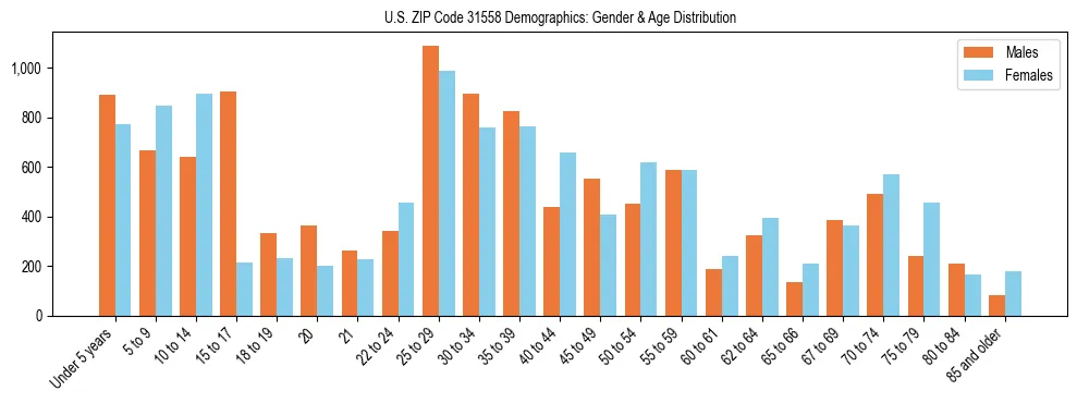 Bar chart showing the population distribution of US ZIP Code 31558 by age group and gender, based on 2023 ACS data.