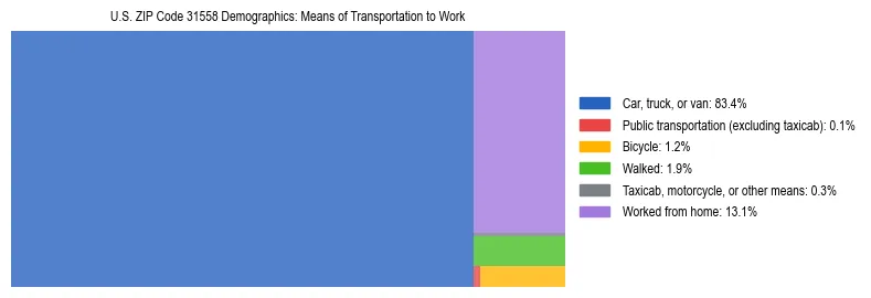 Treemap showing means of transportation to work distribution in US ZIP Code 31558.