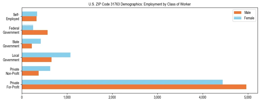 Horizontal bar chart showing employment distribution by class of worker and gender in US ZIP Code 31763, based on 2023 ACS data.