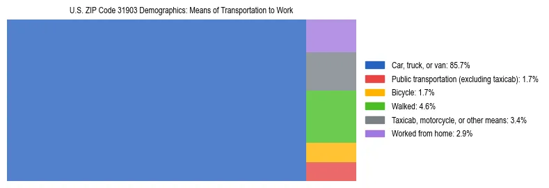 Treemap showing means of transportation to work distribution in US ZIP Code 31903.
