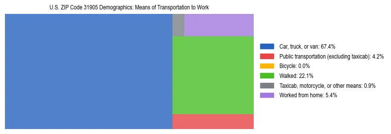 Treemap showing means of transportation to work distribution in US ZIP Code 31905.