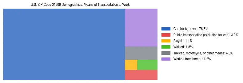 Treemap showing means of transportation to work distribution in US ZIP Code 31906.
