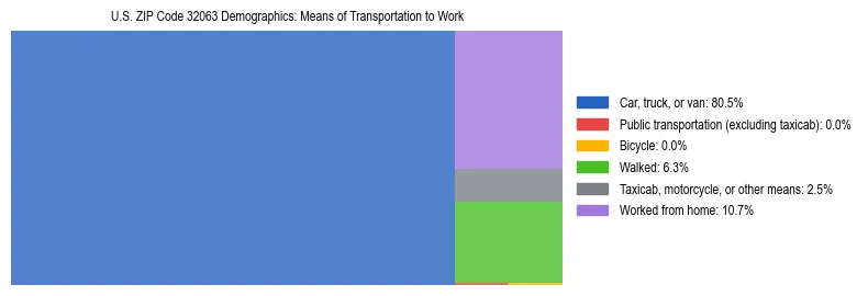 Treemap showing means of transportation to work distribution in US ZIP Code 32063.