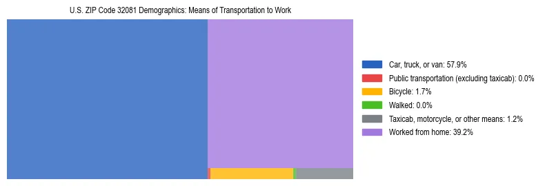 Treemap showing means of transportation to work distribution in US ZIP Code 32081.