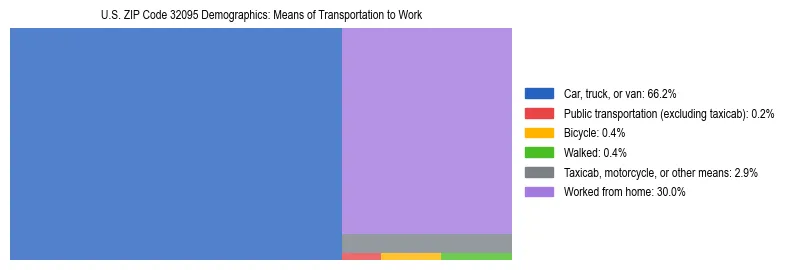 Treemap showing means of transportation to work distribution in US ZIP Code 32095.