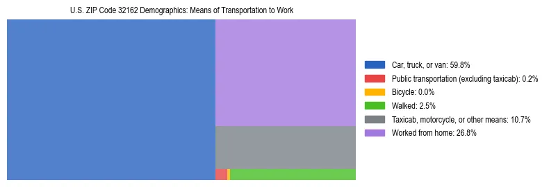 Treemap showing means of transportation to work distribution in US ZIP Code 32162.