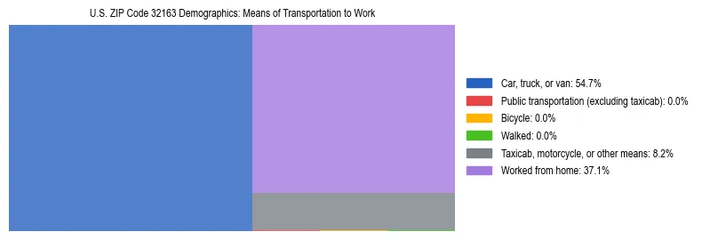 Treemap showing means of transportation to work distribution in US ZIP Code 32163.