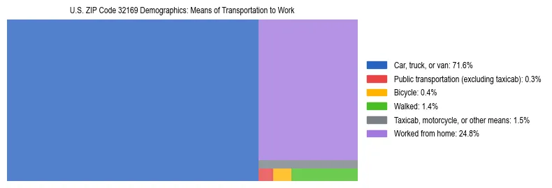 Treemap showing means of transportation to work distribution in US ZIP Code 32169.