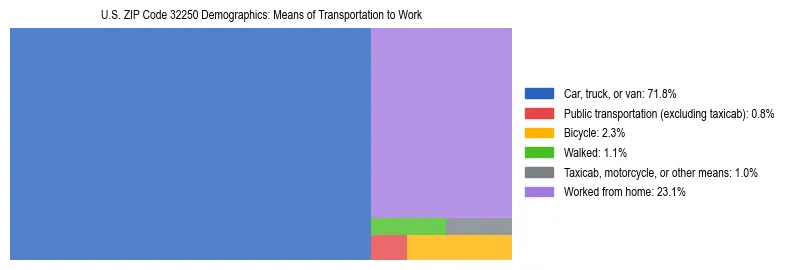 Treemap showing means of transportation to work distribution in US ZIP Code 32250.
