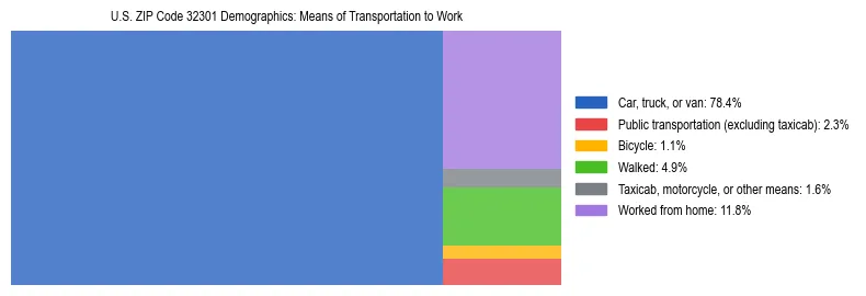 Treemap showing means of transportation to work distribution in US ZIP Code 32301.