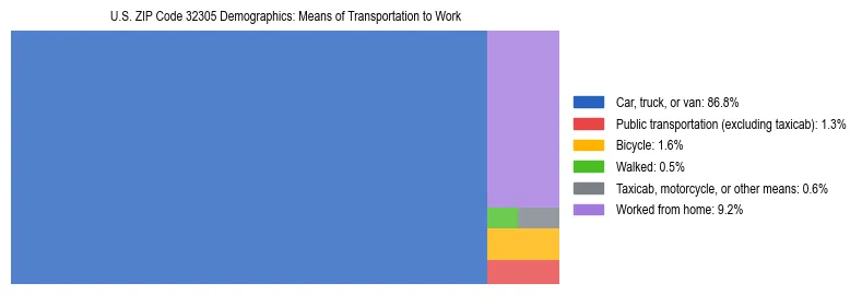 Treemap showing means of transportation to work distribution in US ZIP Code 32305.