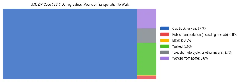 Treemap showing means of transportation to work distribution in US ZIP Code 32310.